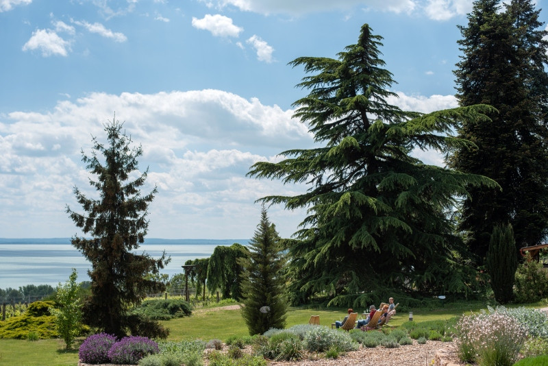Badacsonyi panoráma és borvidéki hangulat